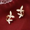 Women's Fashion Earrings, Accessories For Dresses And Shirts, Women's Jewelry
