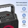 Philips Portable KTV Bluetooth Speaker SD110 (CN Version)