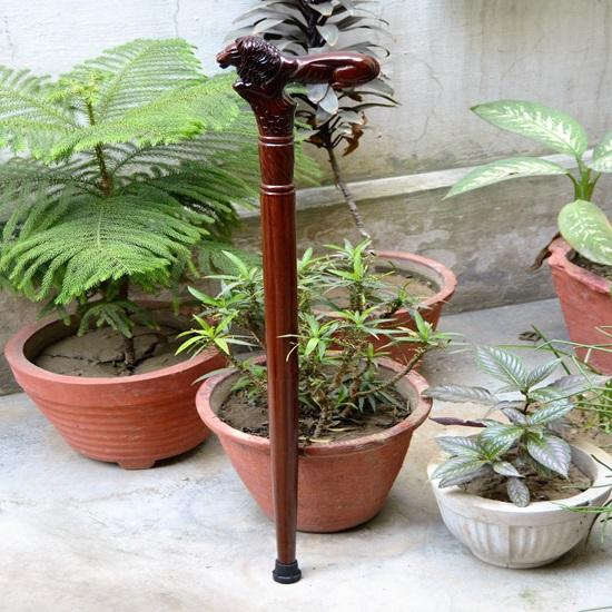 Lví dřevěná vyřezávaná vycházková hůl Elegantní ručně vyřezávaná dřevěná hůl se složitým designem