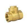 Brass Horizontal Spring Check Valve