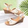 Summer 2025 Korean Style Fashion Ladies Fishmouth Roman Sandals Casual Large Size Women's High Heel One-Strap Slip-On Shoes