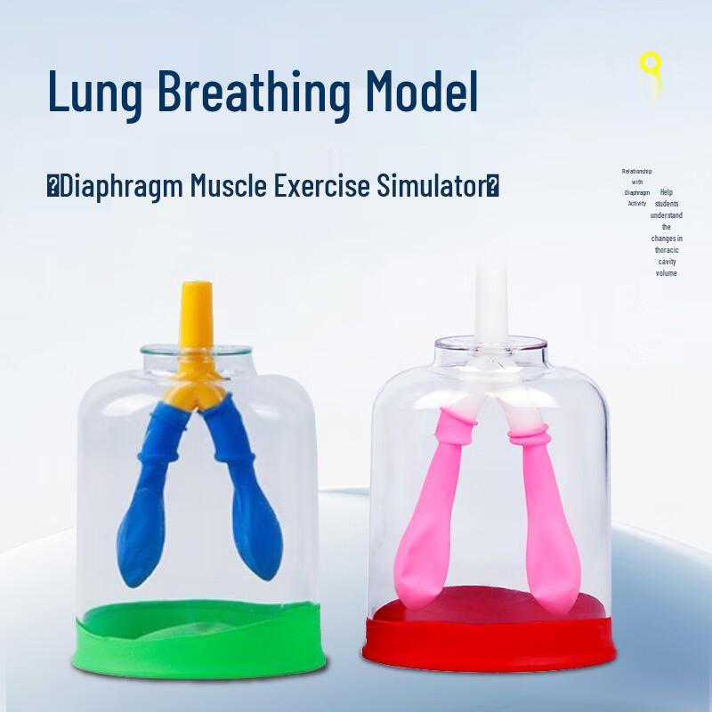 Kopoo DIY Educational Science Kits