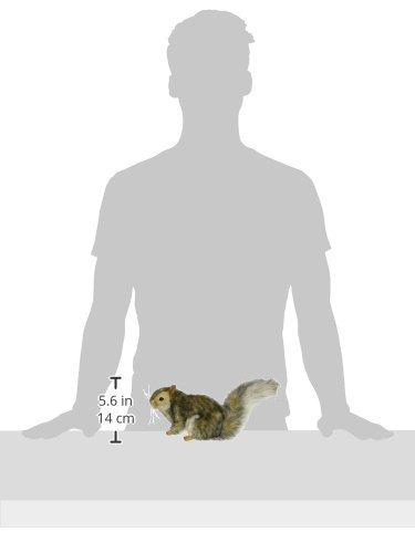 BH4840 HANSA Grey Squirrel 22