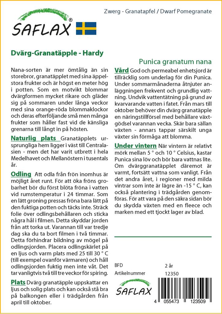 SAFLAX Rodie pitică - 50 de semințe - Cu substrat de ghiveci pentru o cultivare mai bună - Punica granatum nana