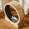 Miao Xian Er Cat Treadmill Climbing Frame