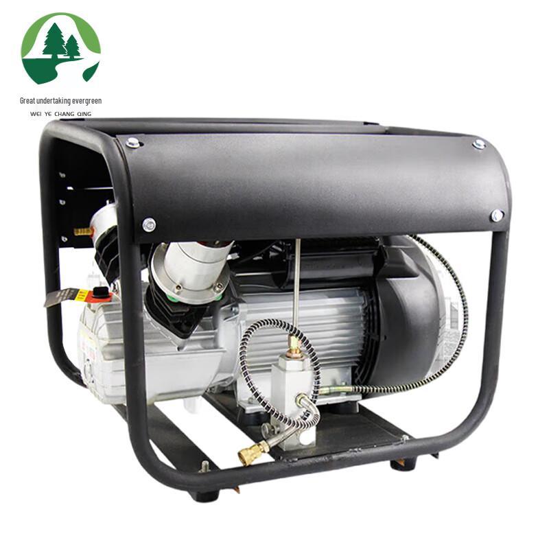 Dual Cylinder High-Pressure Air Pump