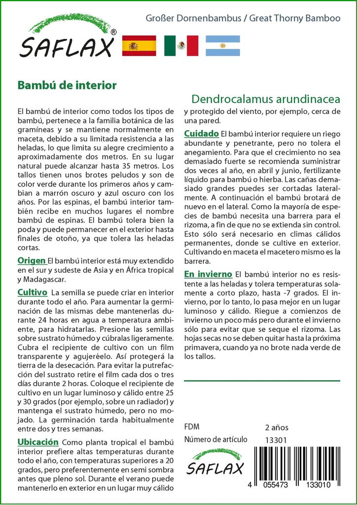 SAFLAX Grande Bambu Espinhoso - 50 sementes - Dendrocalamus arundinacea
