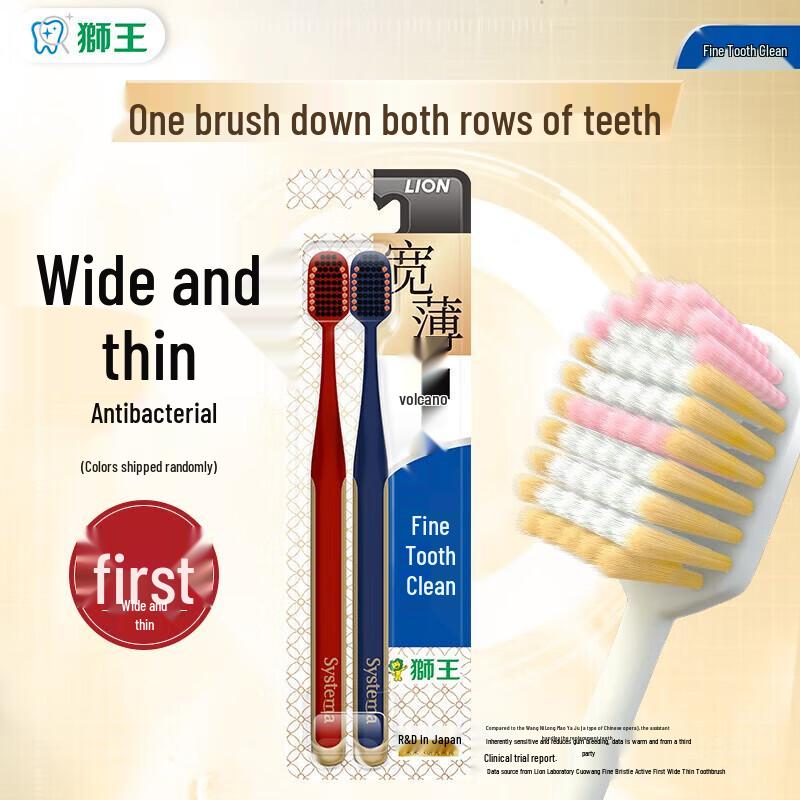 Lion Brand Fine Clean Volcanic Charcoal Toothbrush (2-Pack)