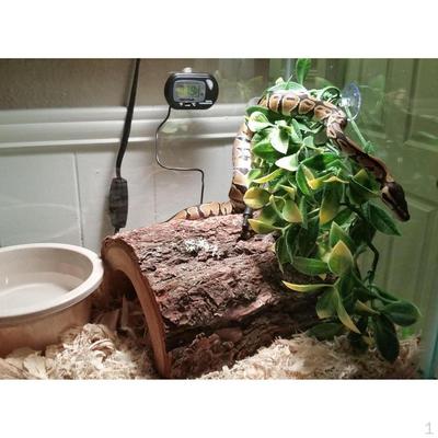 Climber Vines Plastic Terrarium Plant Ornament for and Amphibians