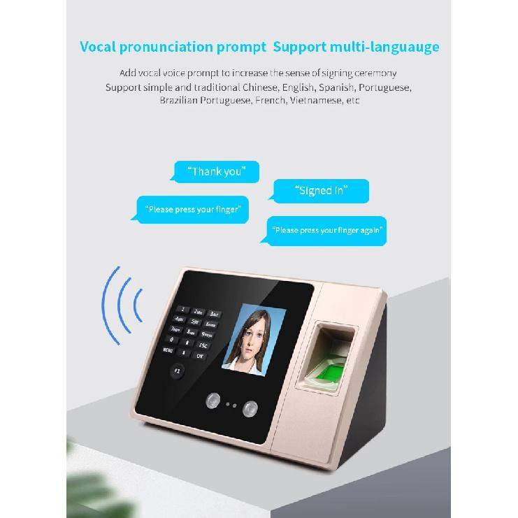 Facial Attendance Fingerprint Recognition Password Unlock Voice Prompt No Software UDisk FAT32 Format Direct Export EXCEL Report