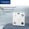 Smart Body Fat Scale (CN Version)