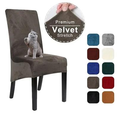 Textil do obýváku a jídelny – Potahy na židle