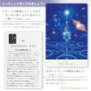 Oracle Card Amane Rikaba Light Language Card with Japanese Explanation Manual Made In Japan Language [Light Card]