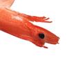 Simulation Prawn Exquisite Detail Keychain Pendant DIY Decoration High Simulation Food Play Model for Kitchen Scene