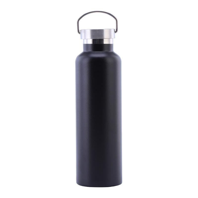 Stainless Steel Water Bottle with Handle Lid, Double Wall Vacuum Insulated Bottle for Sports Hiking Gym