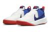 Nike Team Hustle D 10 Slip Resistant Abrasion Resistant Low Top Children's Basketball Shoes CW6735-103