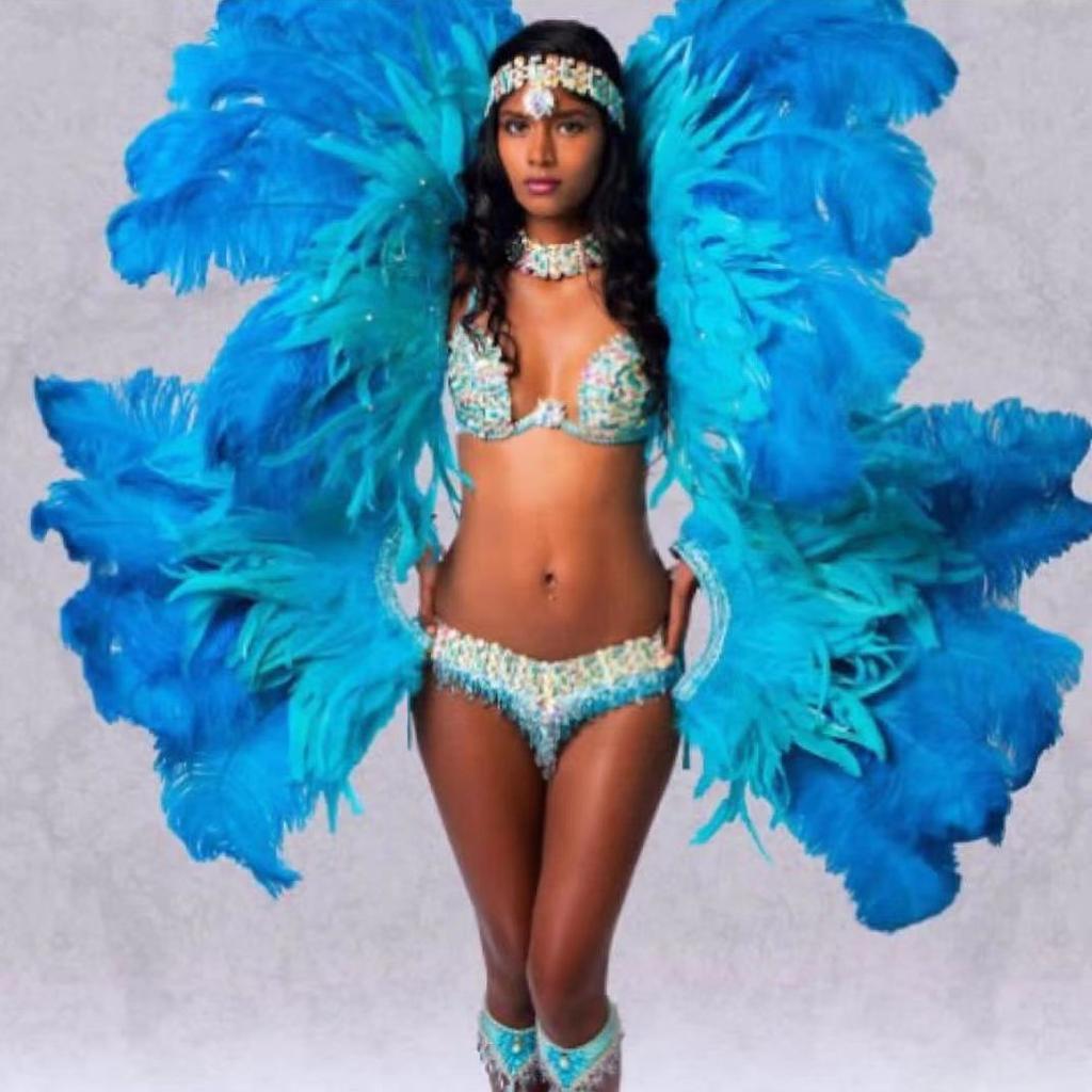 100pcs Blue Carnival Rooster Tail Feathers 25-30cm 30-35cm for Crafts Headdress Party Clothing HeadWear Decor Pheasant Plumas