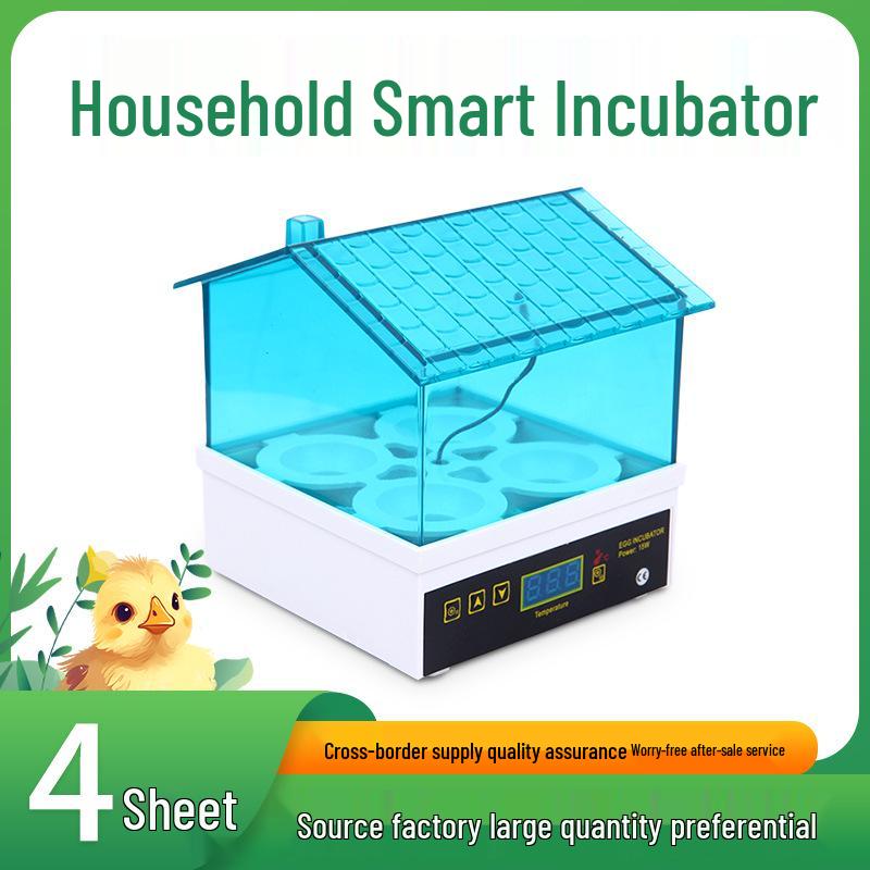 Compact 4-Egg Mini Incubator for Chickens and Birds