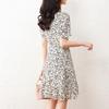 Srcr French V-Neck Floral Chiffon Dress