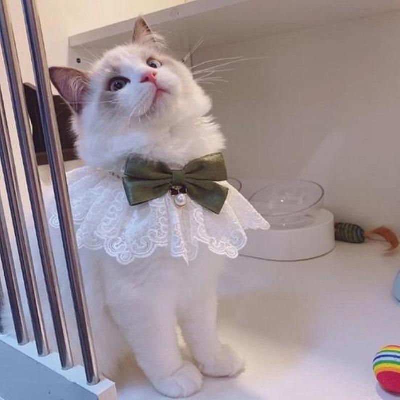 Fazzoletto da collo per animali domestici, accattivante, creativo, con fiocco, per gattini e cuccioli, con campanello per fotografia