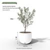 YunDuo Large White Fiberglass Round Arc-Bottom Planter