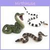 Coral Snake Pythonmodel Pvc Toy Reptile Decor For Kids Educational And Collectible Use