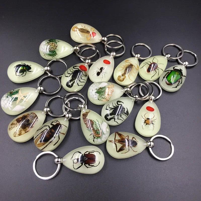 1PC New Resin Insect Keychain Luminous Scorpion Insect Specimen Pendant Random Color Cute Keychain