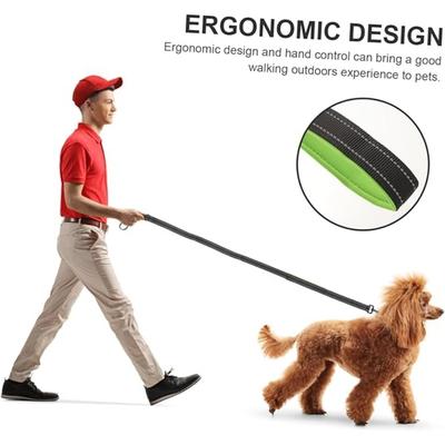 Köpek – Köpek Tasmaları ve Tasma Kayışları