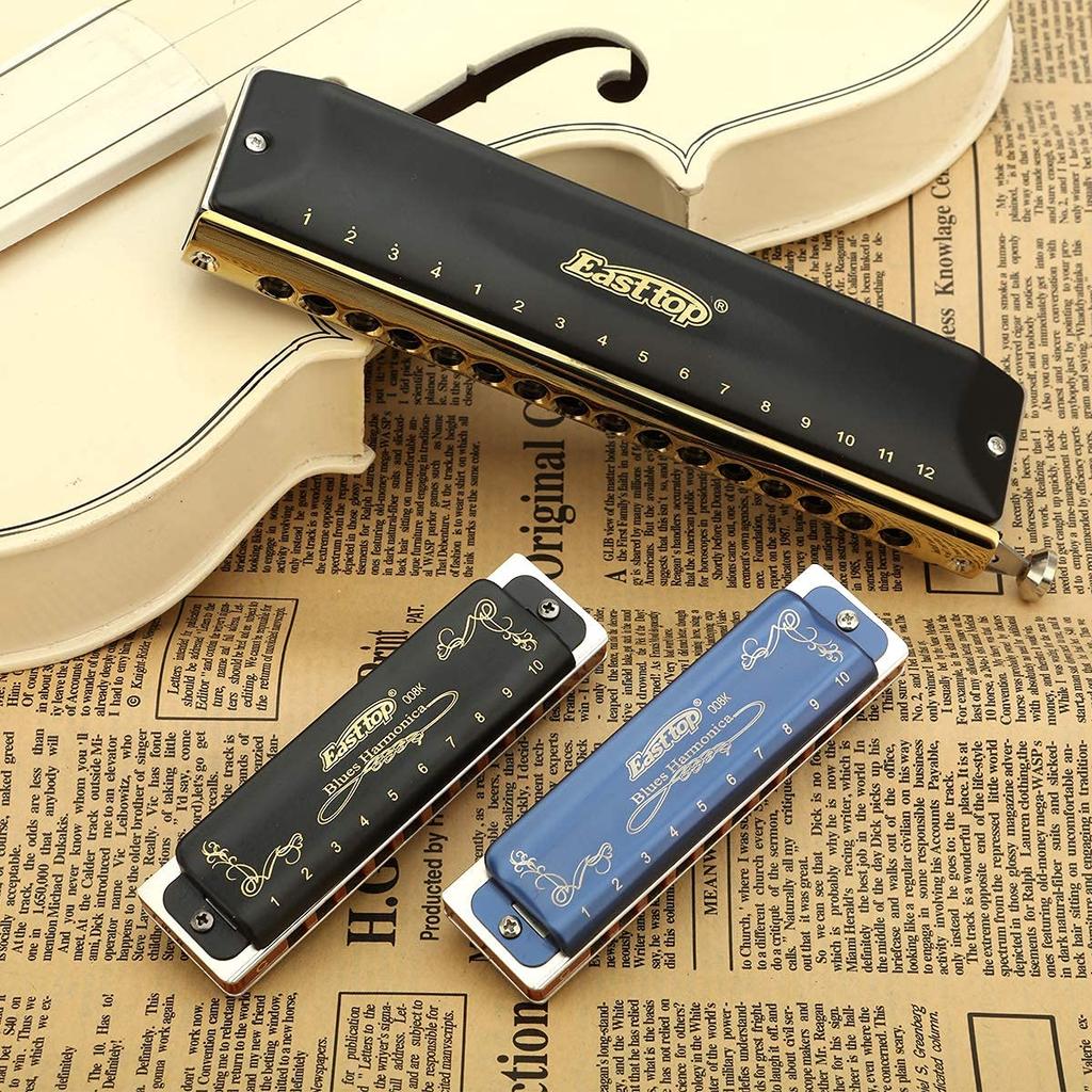 East Top Blues Harmonica, 10-Hole Harmonica, A Key, 20 Tones, Stainless Steel Cover, Canvas Case, Cleaning Cloth, for Beginners, Professionals,