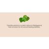 Elizavecca - Milky Piggy Centella Asiatica Pure