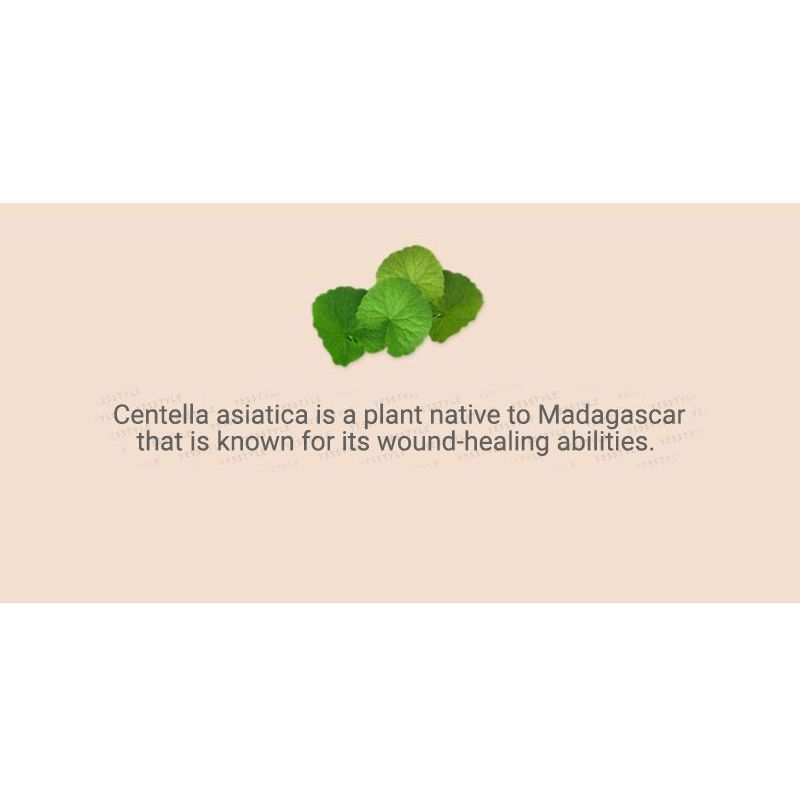 Elizavecca - Milky Piggy Centella Asiatica Pure