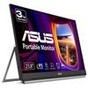 Periferiche per computer – Monitor portatili