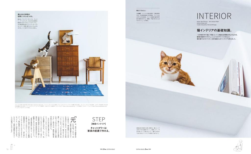 Casa BRUTUS Special Cats and Houses HOUSE MOOK Extra Edition (MAGAZINE Issue)