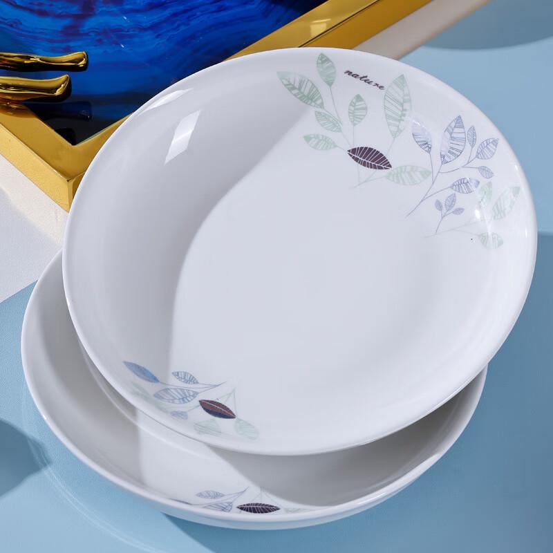 Aiyiruis Fresh 10-teiliges Keramik-Geschirrset