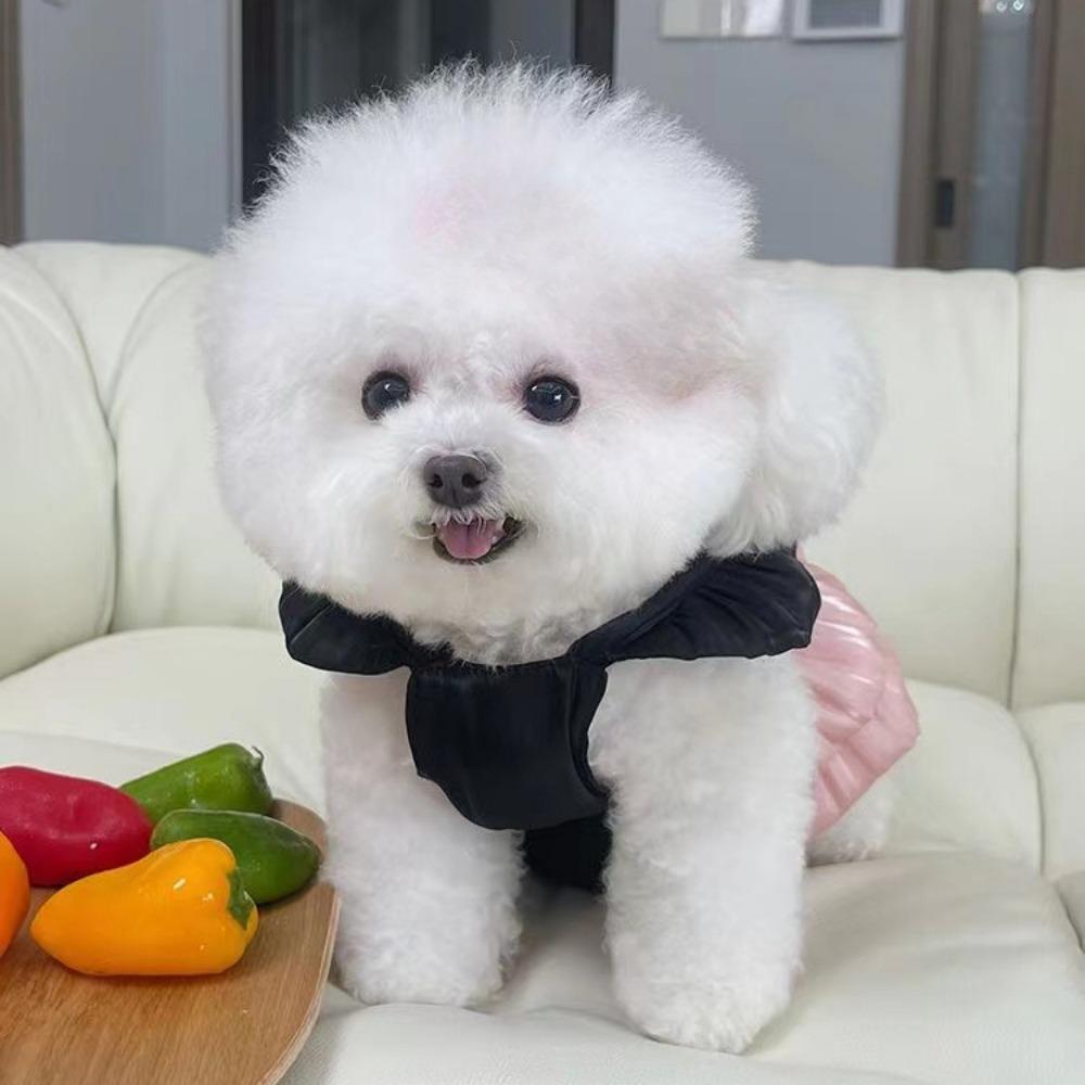Pet Clothing Spring/summer New Flowing Light Dress Pearl Princess Dress Teddy Bear Dog Cat Thin Traction Skirt Small Dog Dress