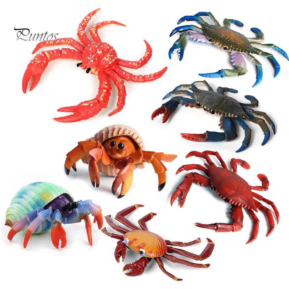Puntos Kids Toy Simulation Hermit Crab Marine Animal PVC Model Desktop Decor Education