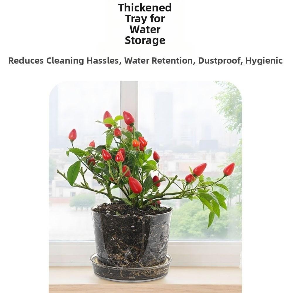 Fashion Round/Square Clear Nursery Pots Transparent with Drainage Holes Planting Pot Flowerpot