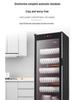 Large Capacity Vertical Double Door Disinfection Cabinet for Tableware