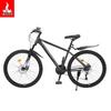 Phoenix 26-inch Variable Speed Bicycle