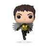 Marvel Figures Ant-Man and The Wasp Funko Pop Marvel Funko