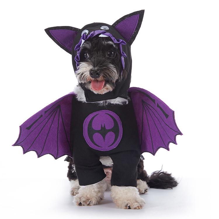 Christmas Pet Costume: Bat, Pirate, Clown, Delivery Outfit for Dogs