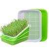 Hydroponic Seedling Tray for Soilless Growing: Vegetable, Bean, Wheat, Garlic Cultivation
