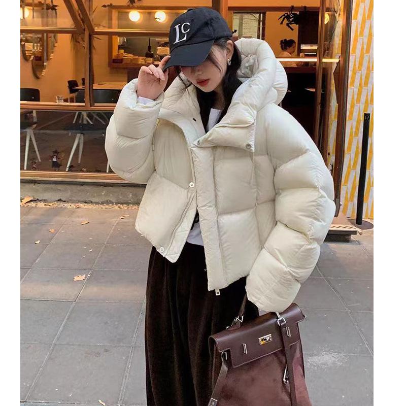 Women's new winter cotton-padded clothes, fashion jackets, cotton-padded jackets, short down cotton-padded clothes, thickened small people.
