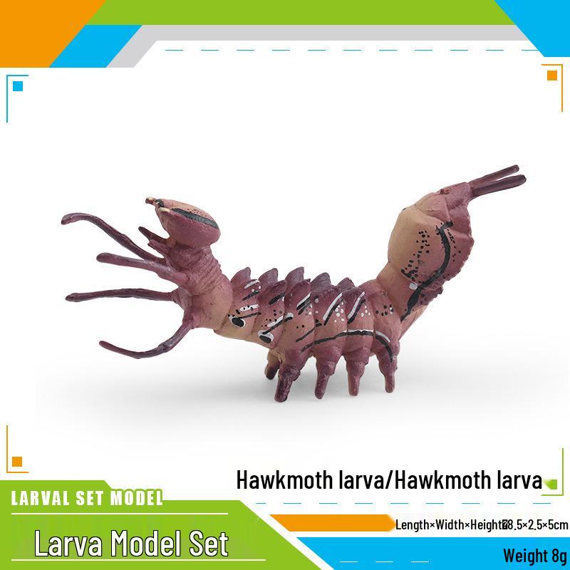 Insect Simulation Larva Model: Children's Cognitive Moth, Jade Belt Swallowtail, Beetle Larva Ornament