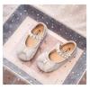 Girls Princess Shoes New Children's Single Shoes Leather Shoes Crystal Shoes Baby Dress Shoes Girls Soft Sole Spring and Autumn