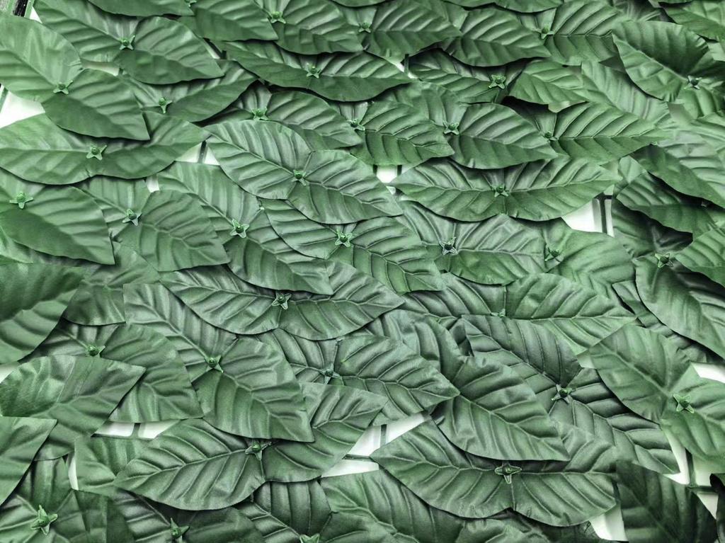 Ivy Netting For Balcony 50Cm X 300Cm