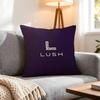 Brand Lush Cushion Cover 1Pcs Decorative Covers Soft Cushion Case For Sofa Couch Decor 40X40 45X45 Pillowcases