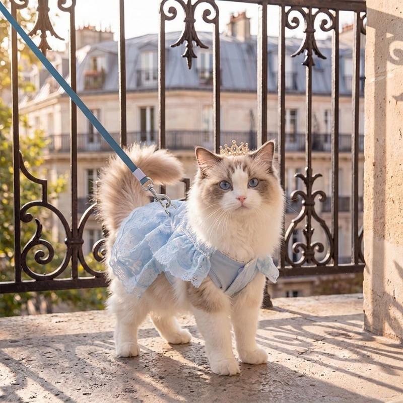 Lightweight Lace Cat Dress Small Dogs Cats Breathable Pet Outfit In Blue Pink XS To XL