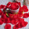 Rose Petal Decor for Wedding Ceremony, Proposal, and Bed Arrangement