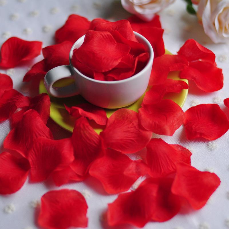 Rose Petal Decor for Wedding Ceremony, Proposal, and Bed Arrangement